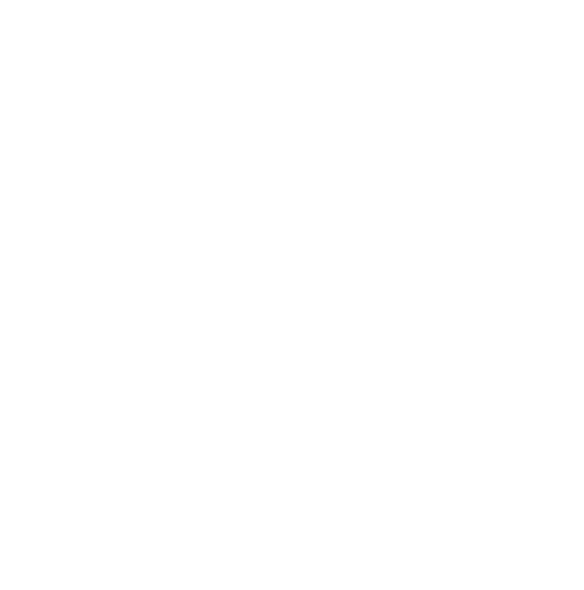 Logo World Trails Network